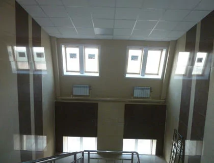 P1070441.jpg